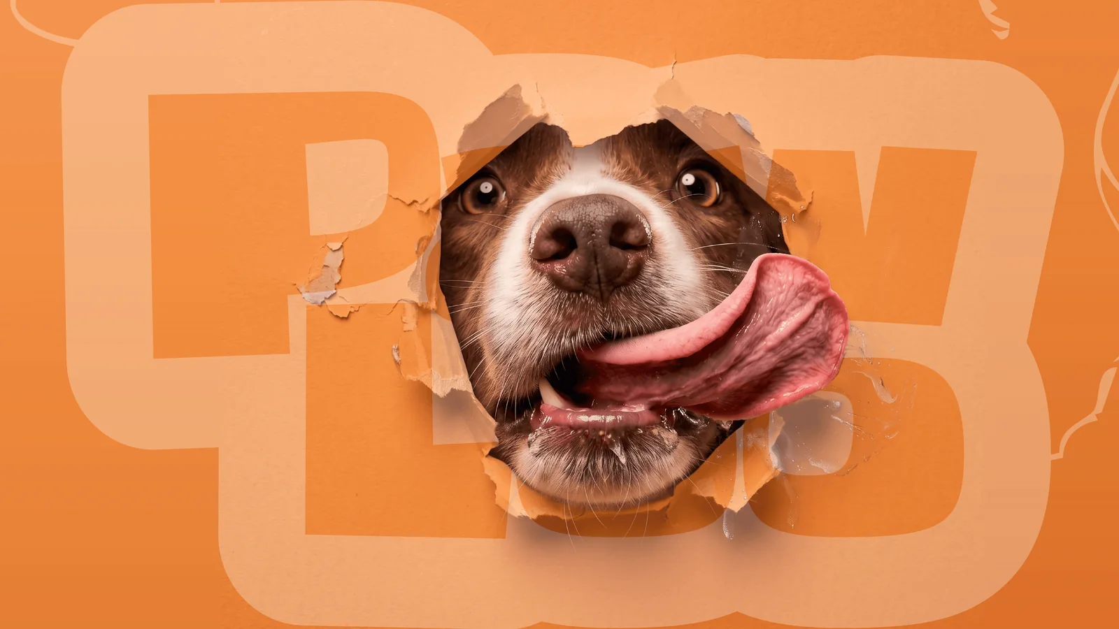 A dog licking its nose through a hole torn in an orange PawLoo poster