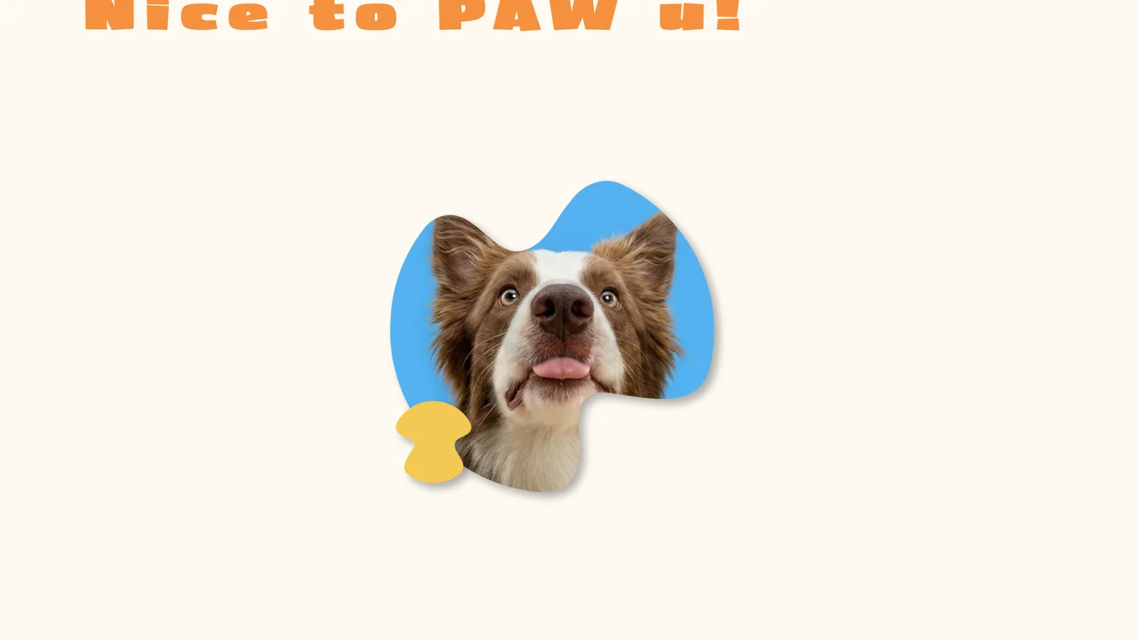 Nice to PAW u! A brown and white border collie inside a blue blob shape.