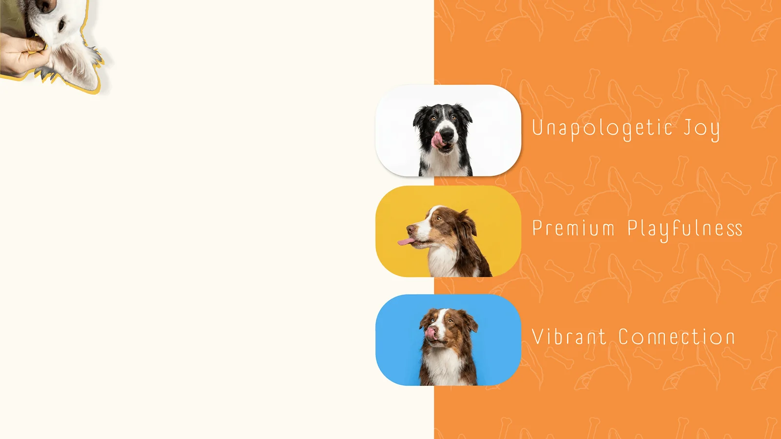 Brand values: Unapologetic Joy, Premium Playfulness, Vibrant Connection.