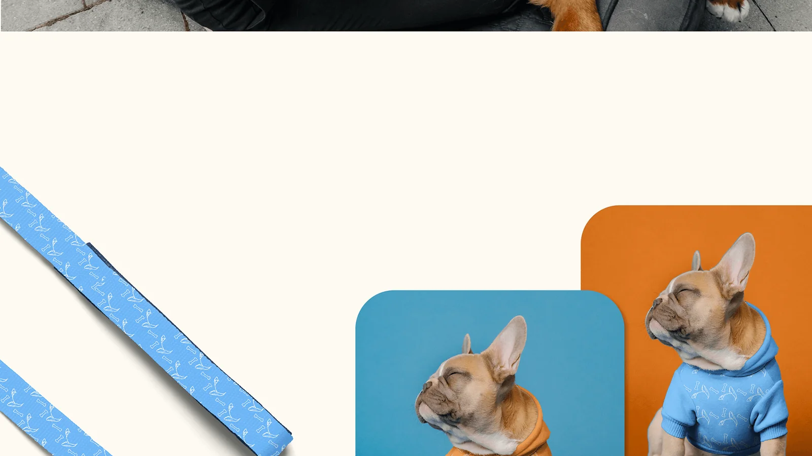 A patterned blue leash and two French bulldogs in PawLoo hoodies.