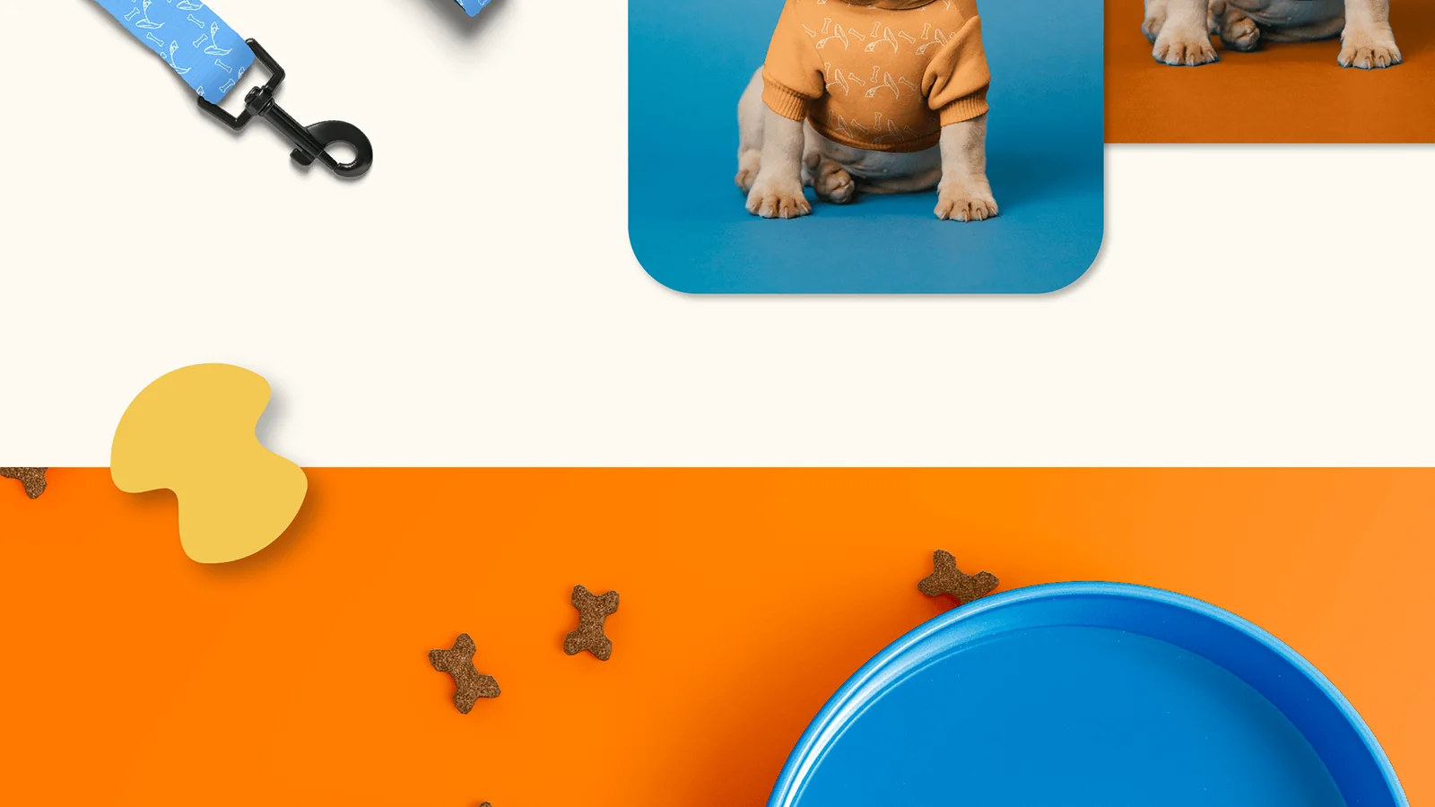 Leash, a pug in an orange PawLoo shirt, and a blue bowl on orange.